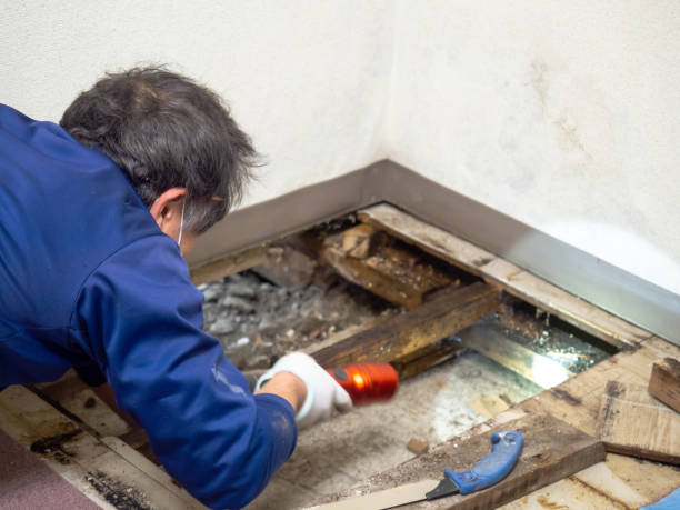 Best Commercial Mold Remediation in Beacon, NY