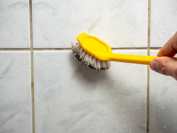 Best Black Mold Remediation in Beacon, NY